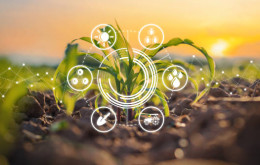 As novas tecnologias e as negociações de grãos produzidos no Brasil As novas tecnologias e as negociações de grãos produzidos no Brasil